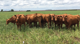 Webinar Preview Image