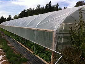 Webinar Preview Image