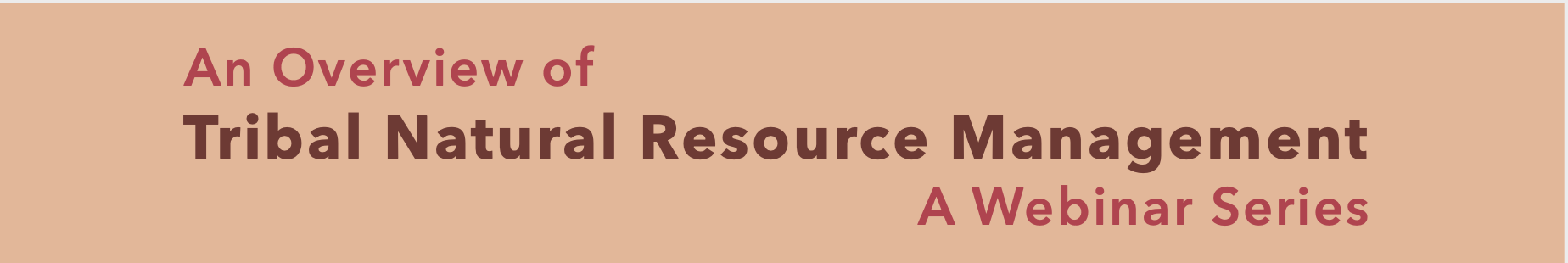 Webinar Sponsor Image