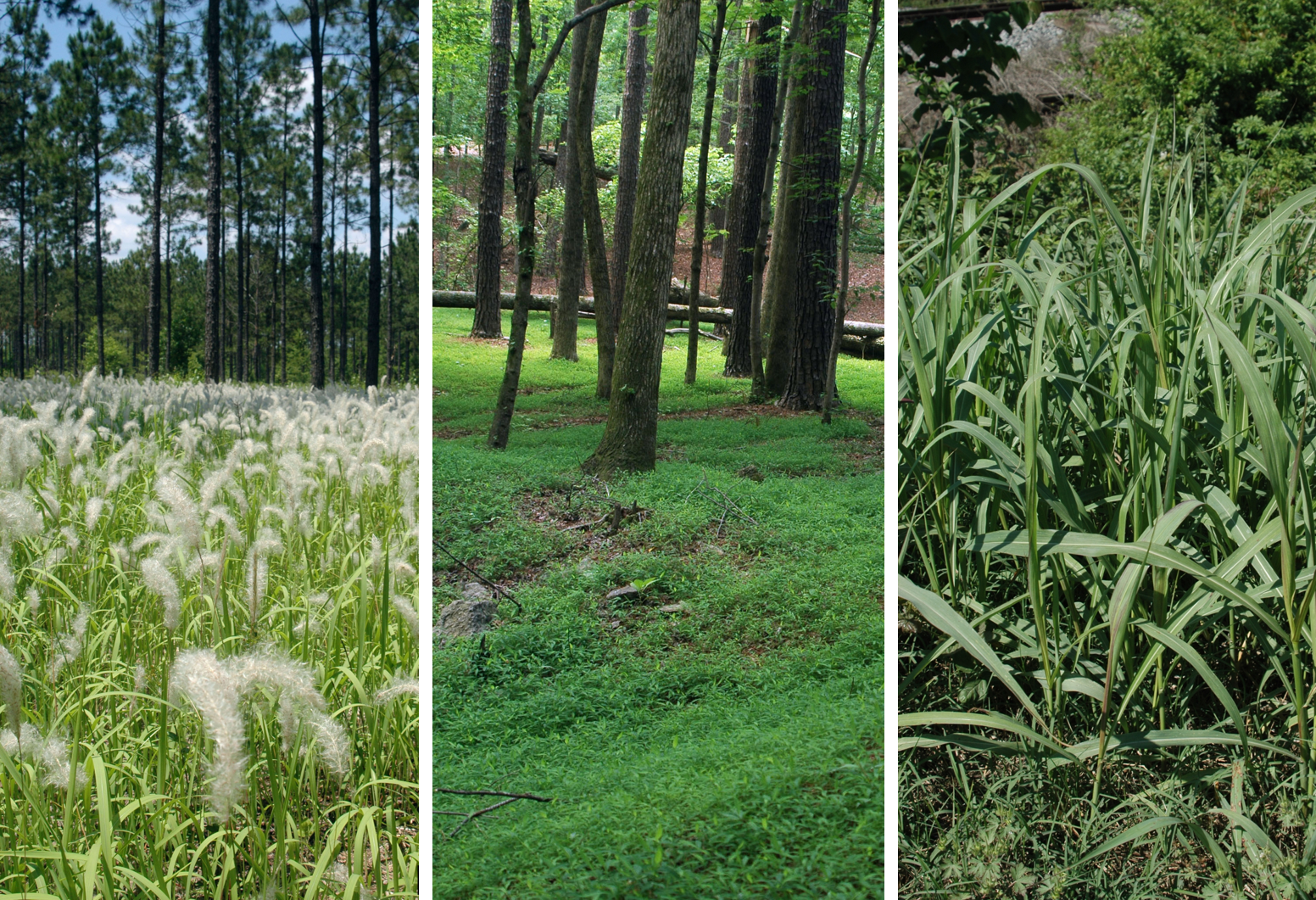 Webinar Preview Image