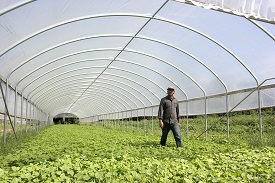 Webinar Preview Image