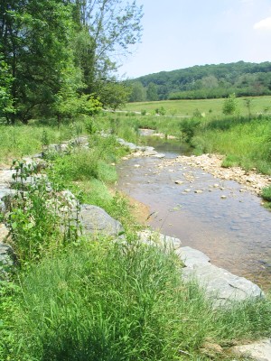 Natural Channel Design