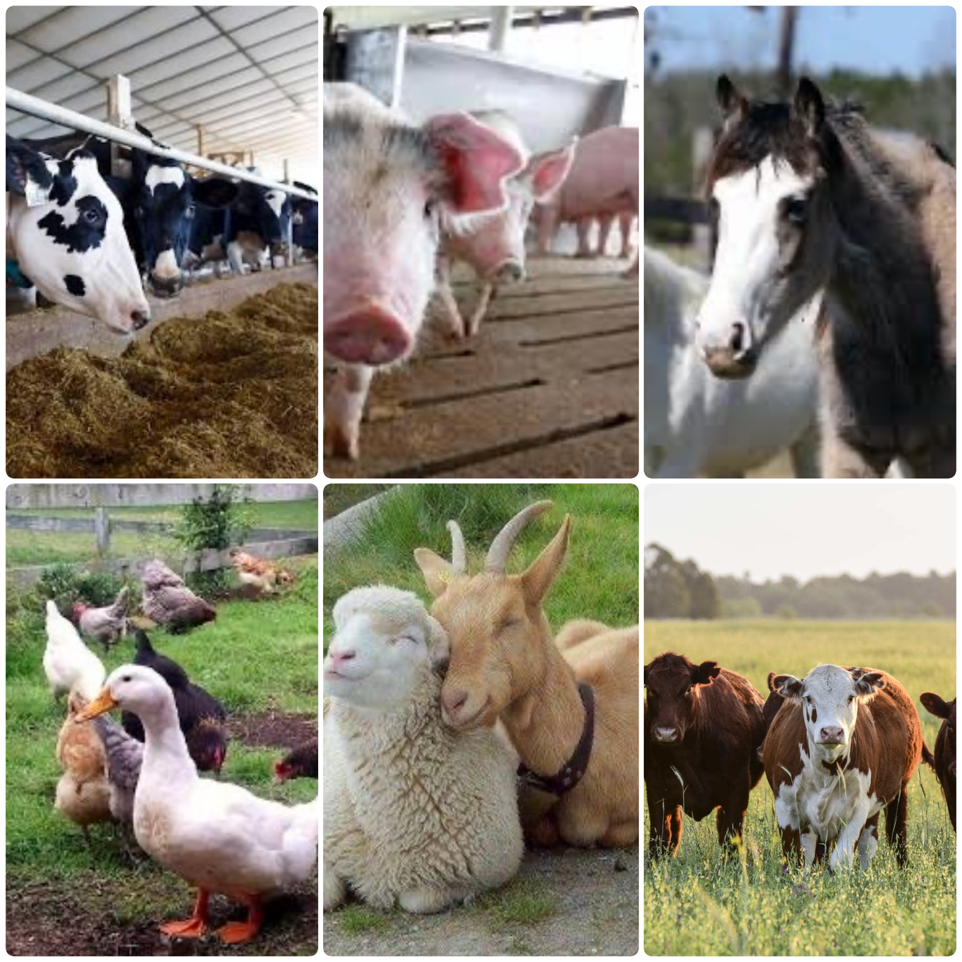 Webinar Preview Image