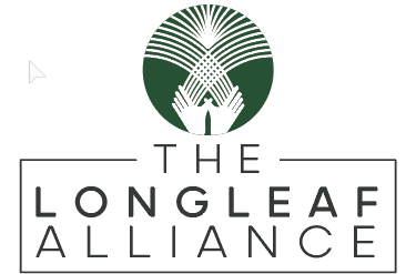 Webinar Sponsor Image