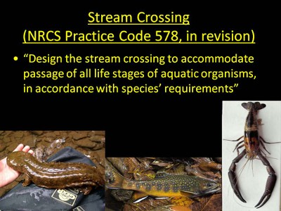 Low-water Crossings image