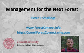 Webinar Preview Image