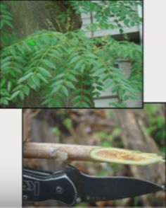 Webinar Preview Image