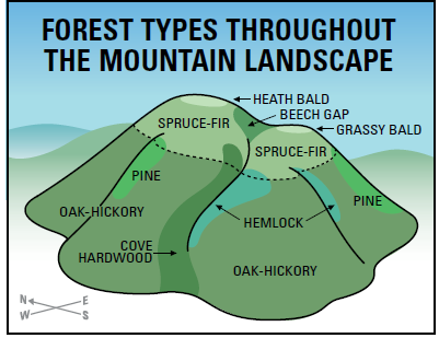 Webinar Preview Image