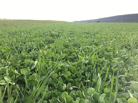 Webinar Preview Image