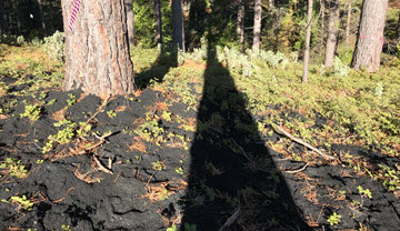 Webinar Preview Image