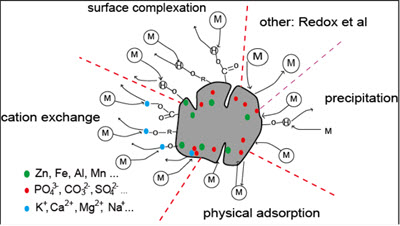 Webinar Preview Image
