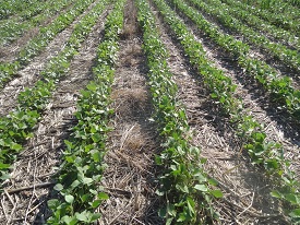 Webinar Preview Image