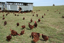 Webinar Preview Image