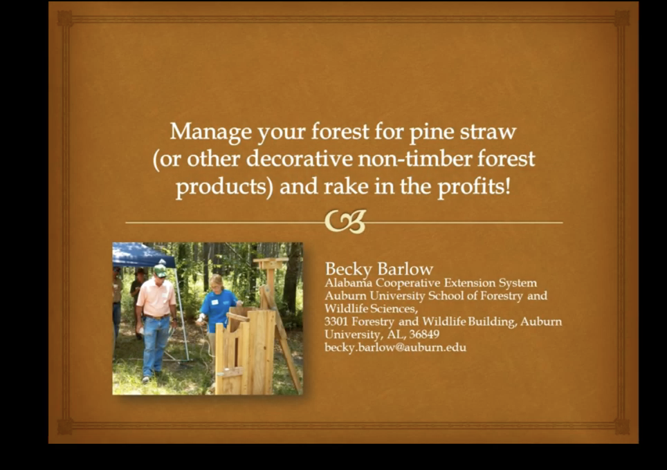 Webinar Preview Image