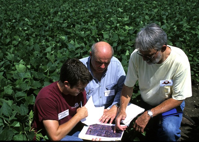 Webinar Preview Image