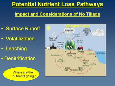 Nutrient Management in No-till image