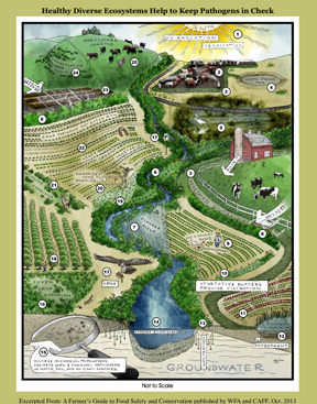 Webinar Preview Image