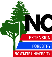 Webinar Preview Image