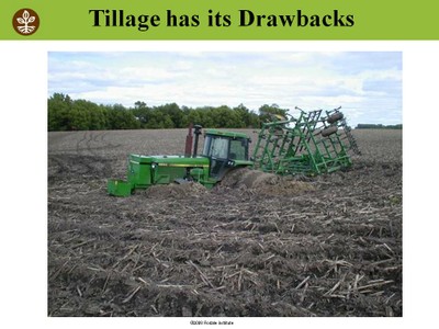 Organic No-till Systems image