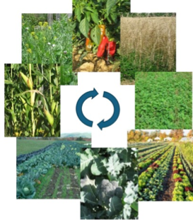 Webinar Preview Image