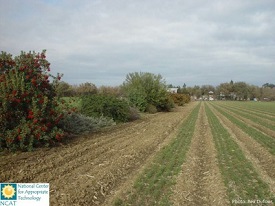 Webinar Preview Image