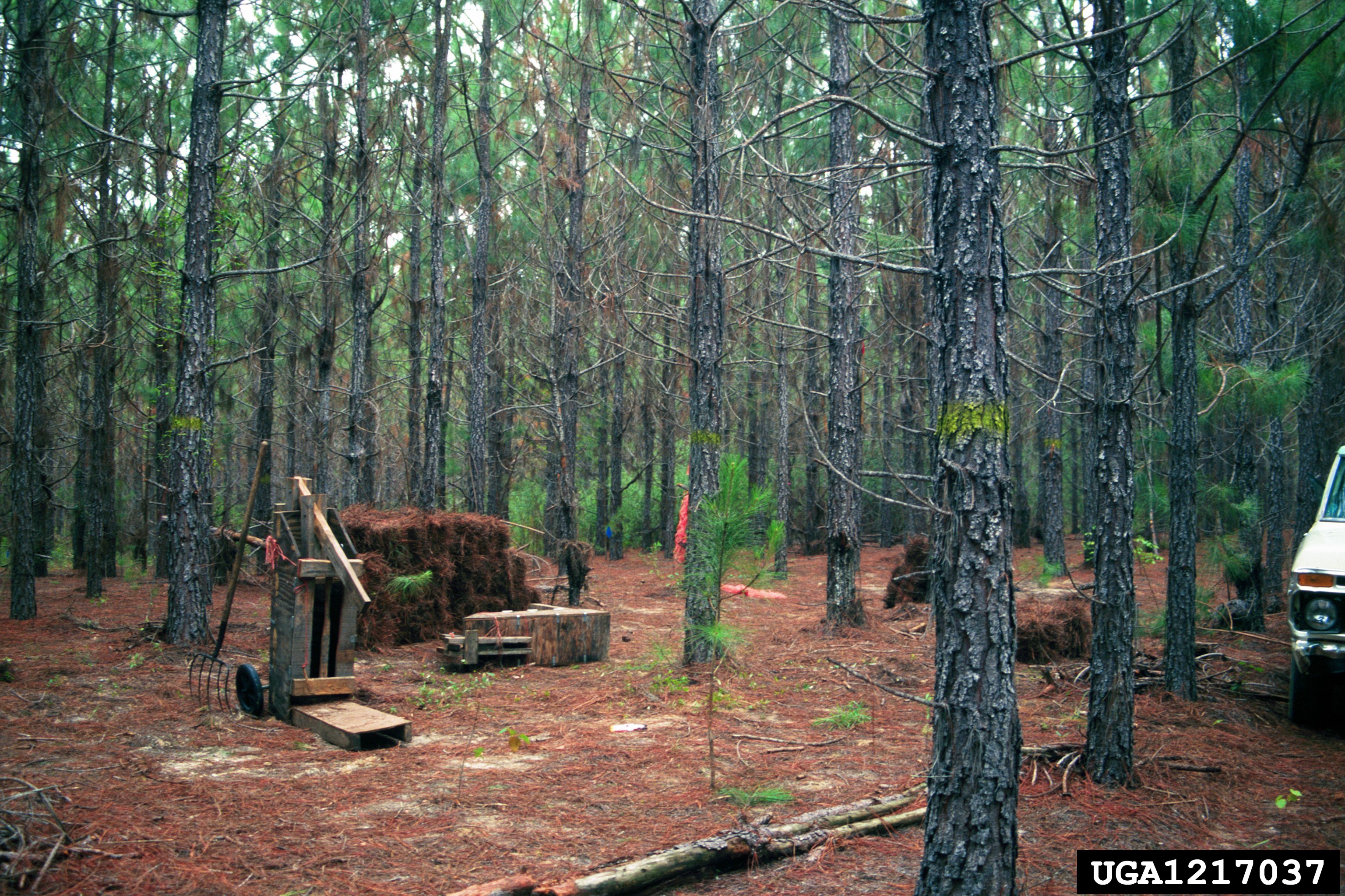 Webinar Preview Image