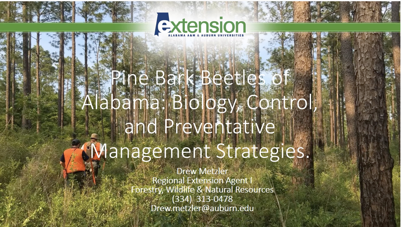 Webinar Preview Image