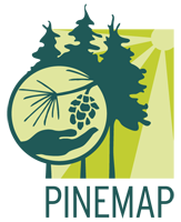 Webinar Preview Image