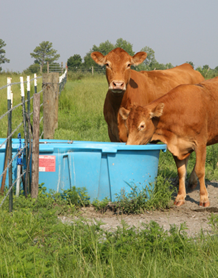 Livestock Watering Systems image
