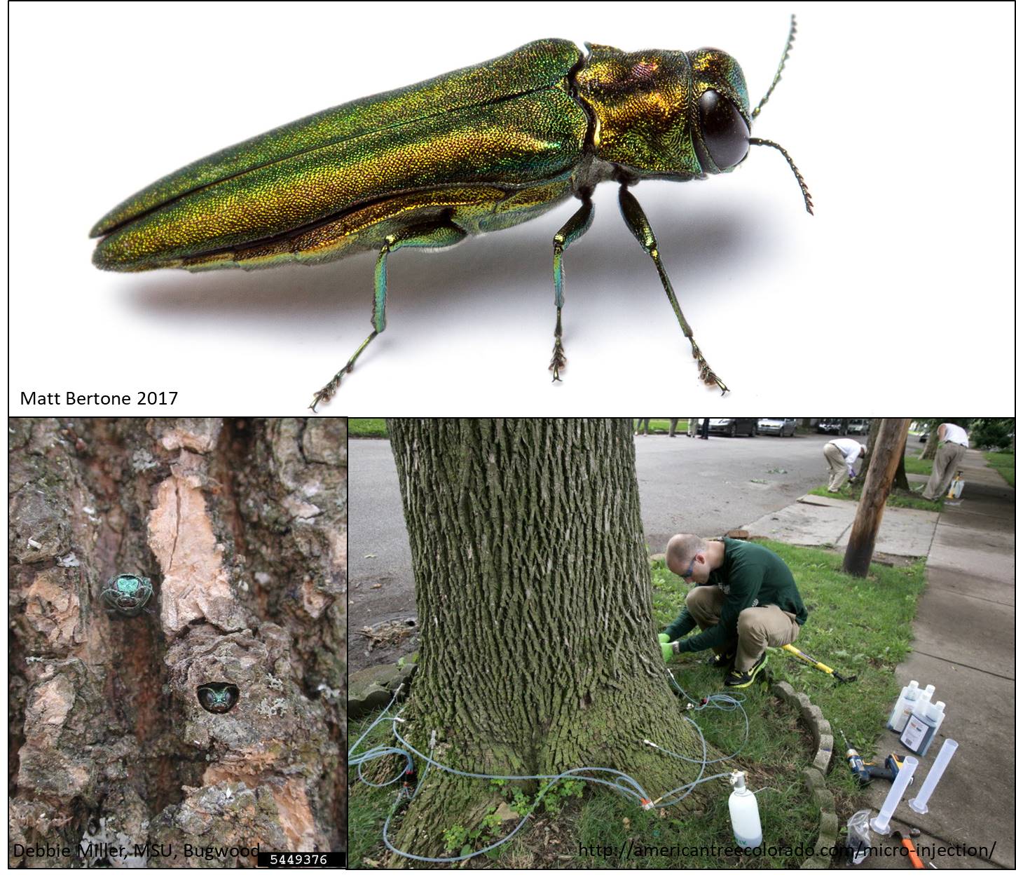 Webinar Preview Image