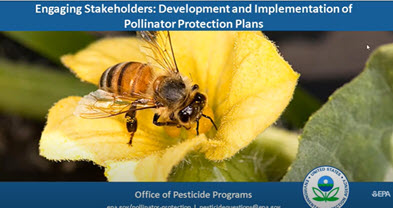 Webinar Preview Image