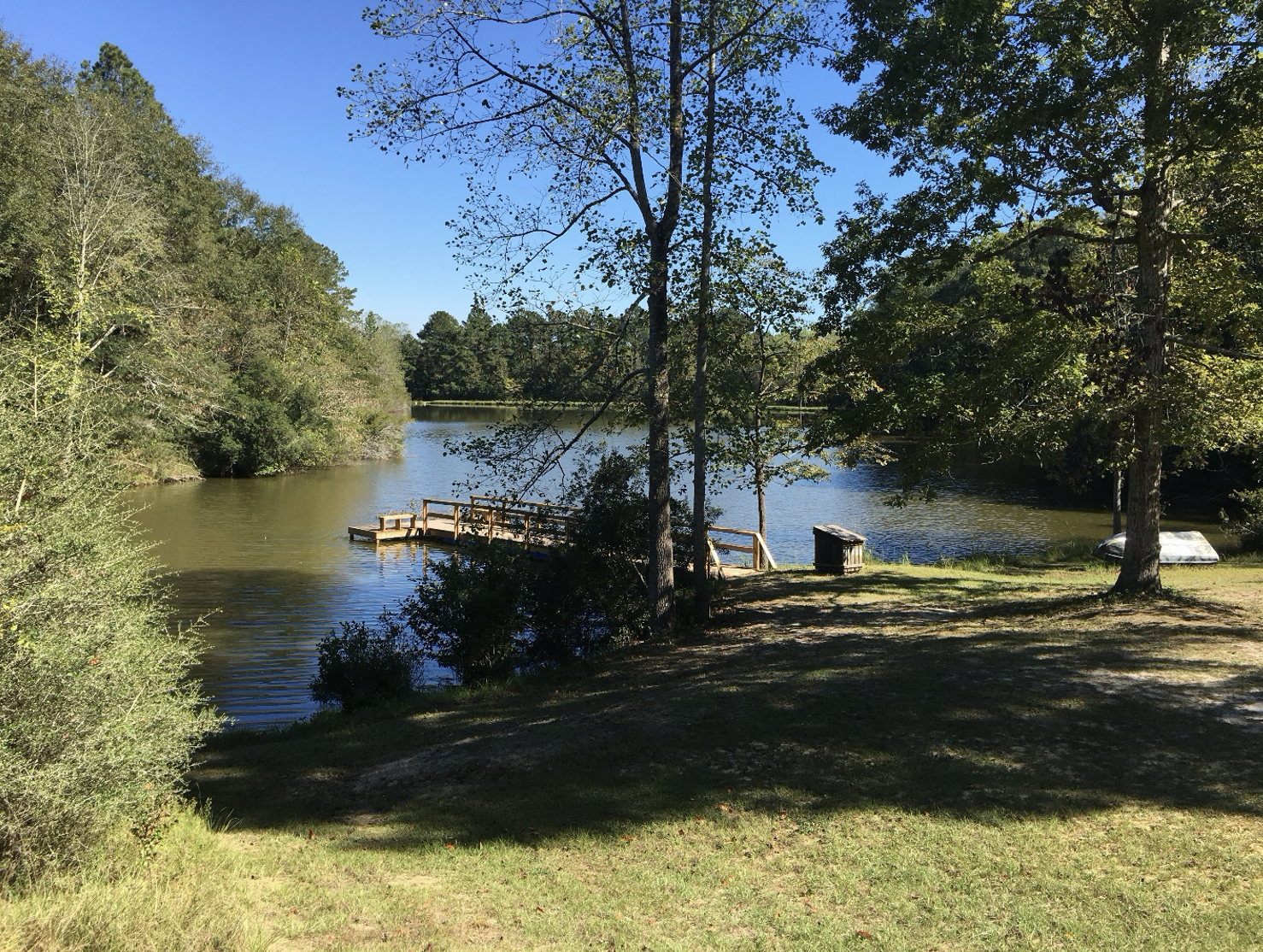 Webinar Preview Image