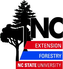 Webinar Preview Image