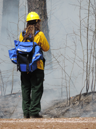 Webinar Preview Image