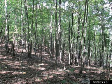 Webinar Preview Image