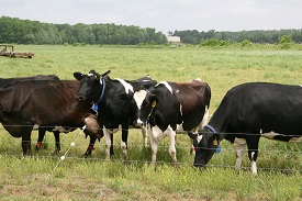 Webinar Preview Image