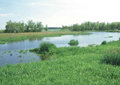 Temporary Wetlands image
