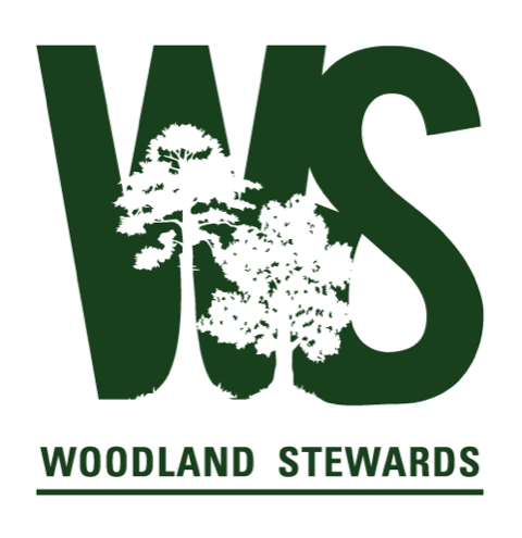 Webinar Preview Image