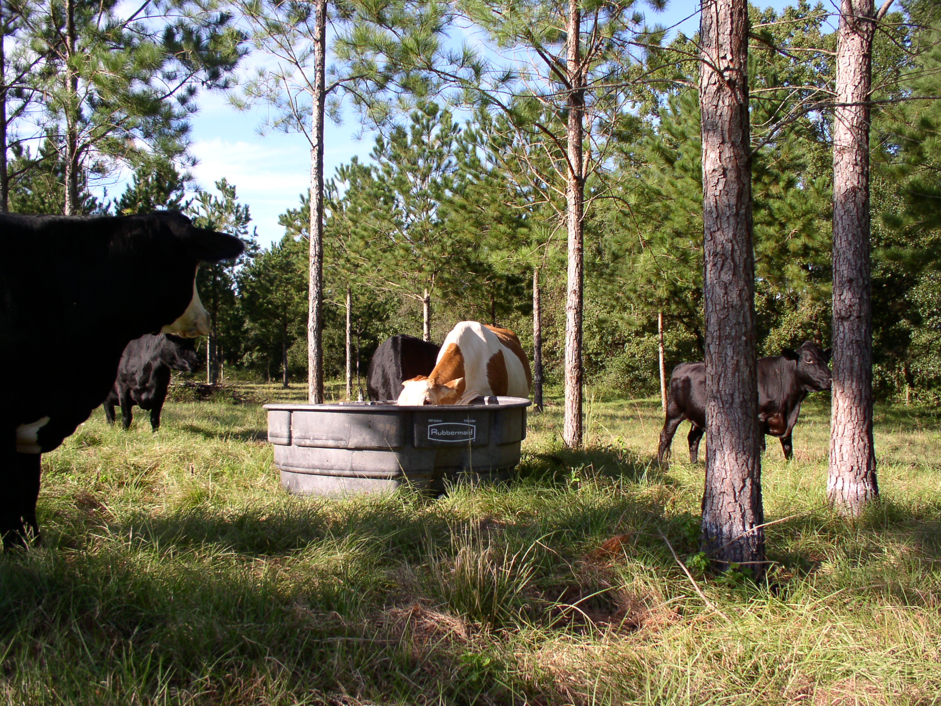 Webinar Preview Image