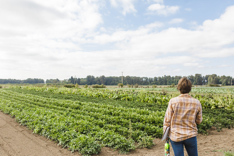 Webinar Preview Image