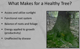 Webinar Preview Image