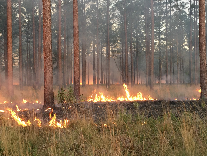 Webinar Preview Image