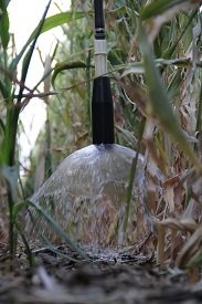 Webinar Preview Image