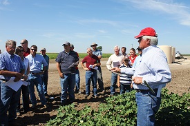 Webinar Preview Image