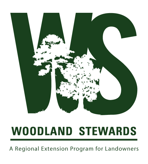 Webinar Preview Image