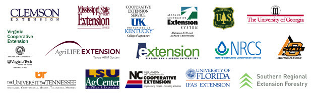 Webinar Sponsor Image