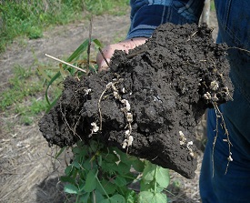 Webinar Preview Image