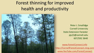 Webinar Preview Image