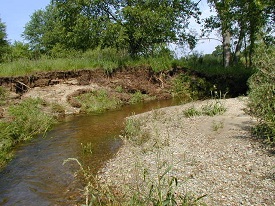 Webinar Preview Image