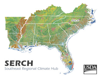 Webinar Sponsor Image